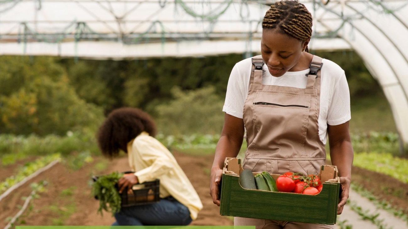 WhatsApp Image 2026-03-05 at 09.56.09