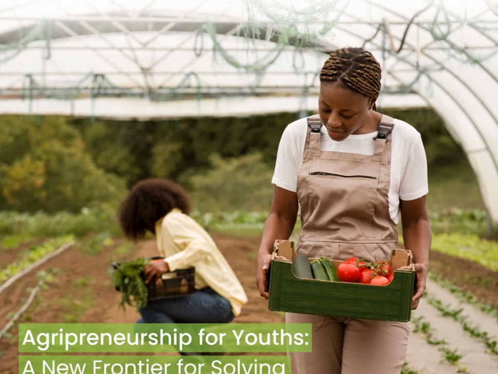 WhatsApp Image 2026-03-05 at 09.56.09